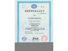 远城ISO9001证书.jpg