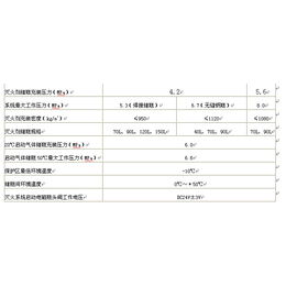 苏州庄生节能科技有限公司、丽水气体灭火系统