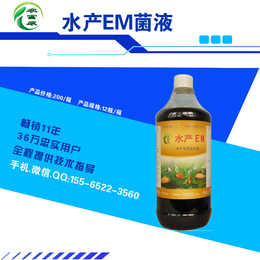 ****育苗水塘水质用的微生物益生菌制剂