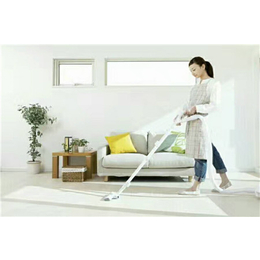 家庭保洁服务规范,安阳家庭保洁服务,绿之源