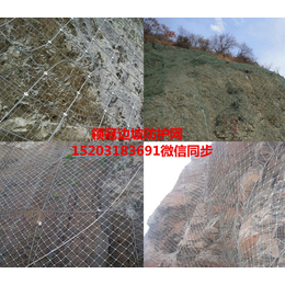 铜陵环形边坡防护网、环形边坡防护网钢丝绳、环形边坡防护网报价