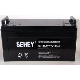 西力蓄电池SH100-12 西力蓄电池12V100AH 
