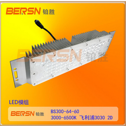 led模组60W大功率LED路灯投光灯隧道灯灯头模组