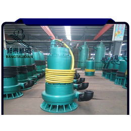 河北沧州 BQS700-40-132KW隔爆型潜水泵