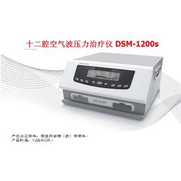 韩国大星DSM-1200S型12腔空气压力****仪