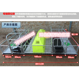 养猪设备厂家供应双体两个位母猪产床高配产仔栏