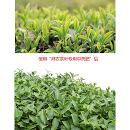 茶叶有机肥的配料,广西有机肥,拜农中药叶面肥