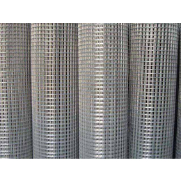 鼎矗商贸(多图)|大孔不锈钢电焊网|电焊网