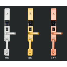 大拉手智能锁厂家缩略图