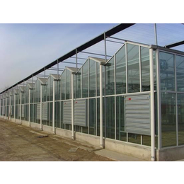 商洛玻璃温室大棚价格、【诺博温室工程】、商洛玻璃温室大棚