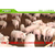 安徽省蚌埠市百分之四中猪预混料生产厂家缩略图4