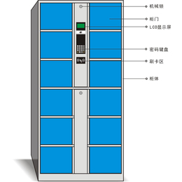 24门超市寄存柜_花都寄存柜_强固(查看)