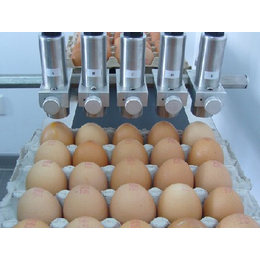鸡蛋生产日期喷码机 二维码图片喷码 食品喷码机