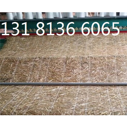 椰丝毯 植被毯护坡 生态毯 植物纤维毯 麻椰固土毯厂家缩略图