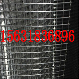 镀锌铁丝网的价格 电焊网  镀锌电焊网