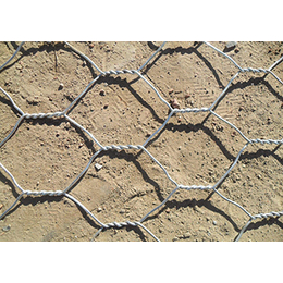 石笼网护垫生产厂家|忻州石笼网护垫|安平威友丝网(图)