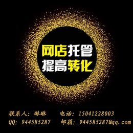 沈阳淘宝网店托管新手怎么开好网店