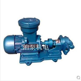 化州 泊威泵业厂家*KCB-33.3齿轮油泵 批发零售供应