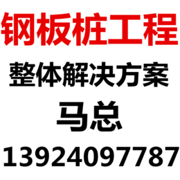 珠海钢板桩打桩机出租_钢板桩施工_珠海钢板桩工程部