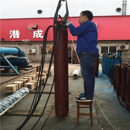 井泵直径-井泵外径-井泵技术规范-井泵检验规程