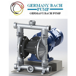 进口不锈钢电动隔膜泵_SSS德国巴赫工业BACH