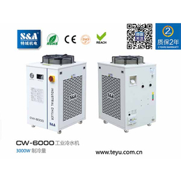 二维码生产日期激光喷码机特域冷水机CW-6000