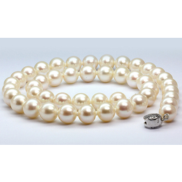 珍珠批发多少钱一斤
