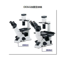 日本奥林巴斯CKX41 CKX31倒置显微镜 进口