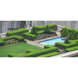 陕西观源景观设计,甘肃屋顶花园植物设计,甘肃屋顶花园