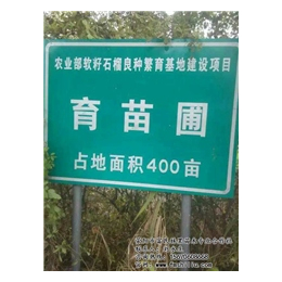 买石榴树,富民林果(在线咨询),石榴