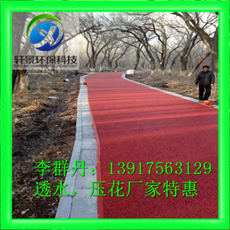 上海轩景高透水地坪 彩色透水混凝土 透水地坪厂家