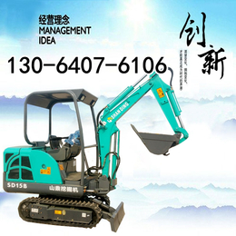 青海省家用小型挖土机多少钱一台     山鼎迷你挖掘机