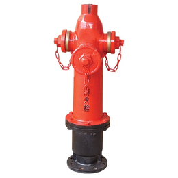 新盛消防设备有限公司(图)|消火栓报价|消火栓缩略图