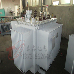 电白S11-315KVA油浸式变压器   泰鑫供应