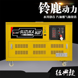 珠海20KW*汽油双燃料发电机