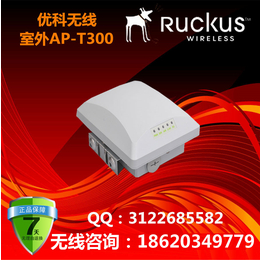 RuckusT300优科901-T300-WW01室外AP缩略图