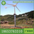 山东小型风力发电机30W-5KW小型水平轴风力发电机缩略图2