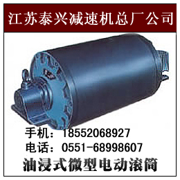 泰精供应YBD型双速油浸式微型电动滚筒
