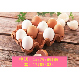 增加蛋壳厚度解决沙壳蛋蛋禽*的产品