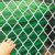 供应 室内跆拳道勾花隔离网-球场围栏网-动物园勾花防护网缩略图3