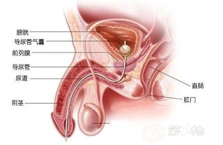 枸杞治疗阳痿_枸杞治疗阳痿_枸杞治疗阳痿