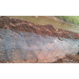 特菲厂家生产加筋石笼网 正孔石笼网 包塑石笼网