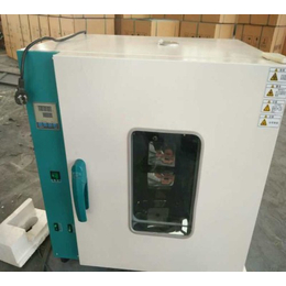 上海电热恒温鼓风干燥箱销售带定时鼓风干燥箱干燥箱缩略图