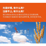 重庆茁麦文化传播有限公司