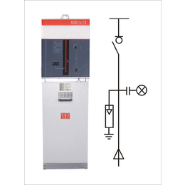 高压环网柜XGN15-12进线柜厂家*
