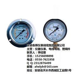 安徽春辉集团(图)、氨压力表价格、河南氨压力表