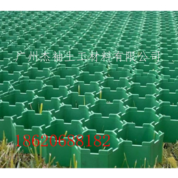 江西九江 5公分草坪保护垫 5公分植草砖 杰袖集团欢迎光临