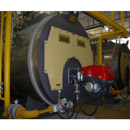 燃气锅炉低氮改造,直燃机低氮改造(在线咨询),低氮改造