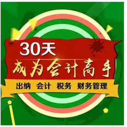 淮南会计实操培训 出纳实操培训 淮南会计教练****试学