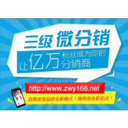 重庆微商分销系统重庆互联网营销